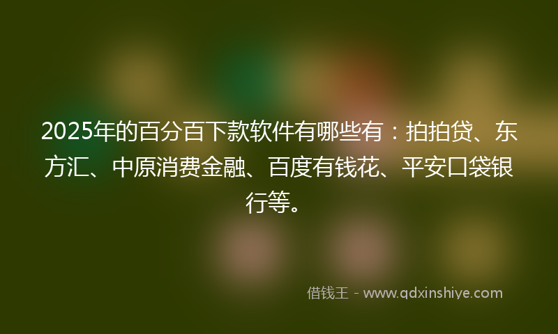 2025年的百分百下款软件有哪些有：拍拍贷、东方汇、中原消费金融、百度有钱花、平安口袋银行等。