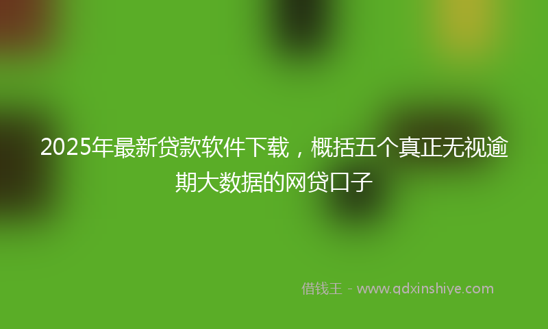2025年最新贷款软件下载，概括五个真正无视逾期大数据的网贷口子