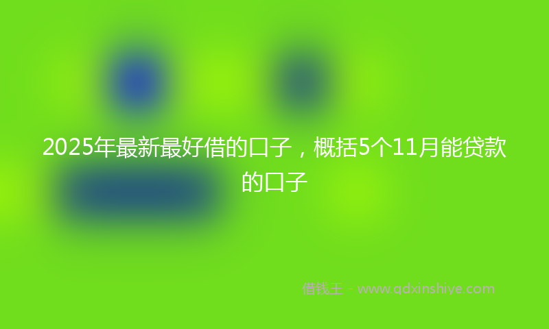 2025年最新最好借的口子，概括5个11月能贷款的口子