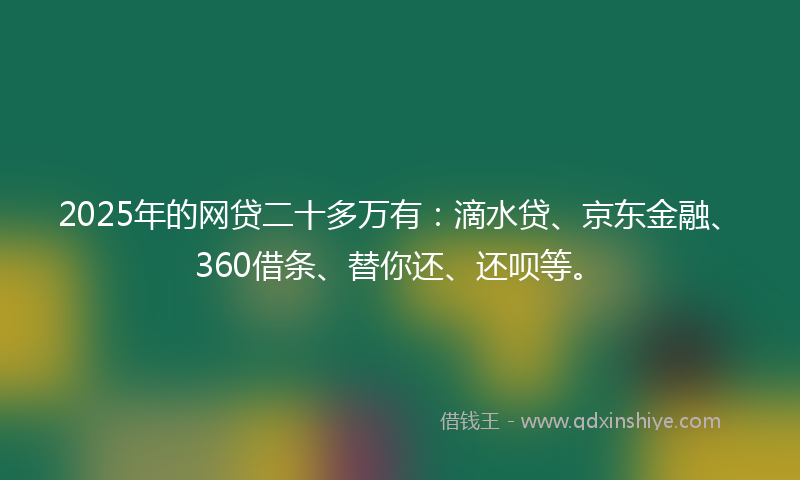 2025年的网贷二十多万有：滴水贷、京东金融、360借条、替你还、还呗等。