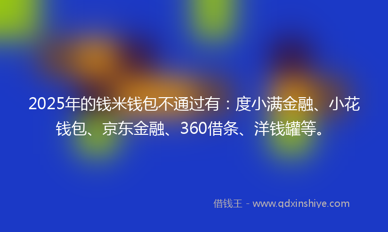 2025年的钱米钱包不通过有：度小满金融、小花钱包、京东金融、360借条、洋钱罐等。