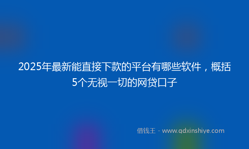 2025年最新能直接下款的平台有哪些软件，概括5个无视一切的网贷口子