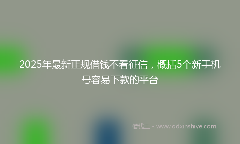 2025年最新正规借钱不看征信，概括5个新手机号容易下款的平台