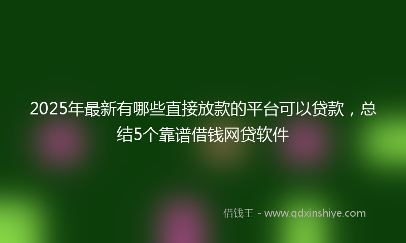 2025年最新有哪些直接放款的平台可以贷款，总结5个靠谱借钱网贷软件