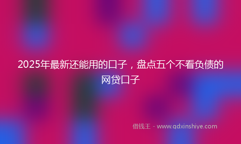 2025年最新还能用的口子，盘点五个不看负债的网贷口子