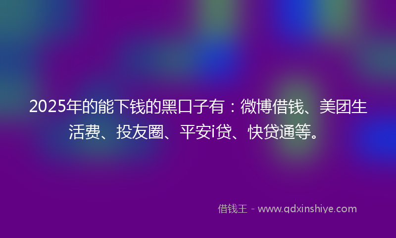 2025年的能下钱的黑口子有：微博借钱、美团生活费、投友圈、平安i贷、快贷通等。
