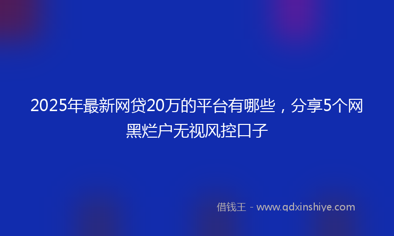 2025年最新网贷20万的平台有哪些，分享5个网黑烂户无视风控口子