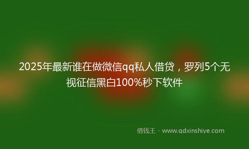 2025年最新谁在做微信qq私人借贷，罗列5个无视征信黑白100%秒下软件