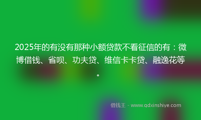 2025年的有没有那种小额贷款不看征信的有：微博借钱、省呗、功夫贷、维信卡卡贷、融逸花等。