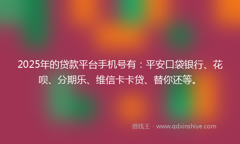 2025年的贷款平台手机号有：平安口袋银行、花呗、分期乐、维信卡卡贷、替你还等。