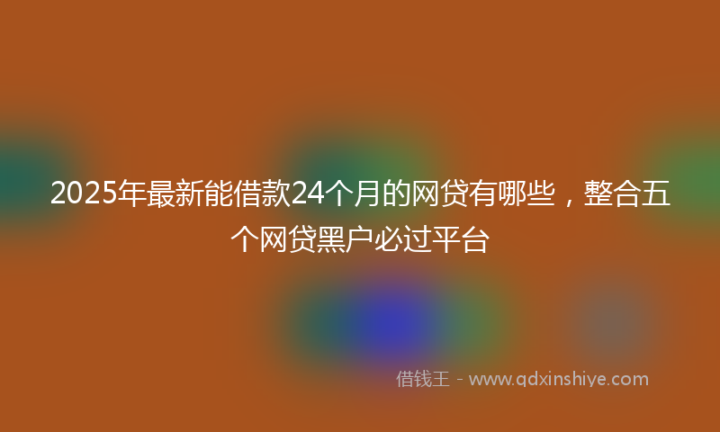 2025年最新能借款24个月的网贷有哪些，整合五个网贷黑户必过平台