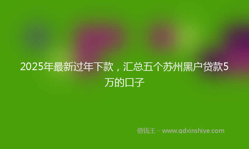2025年最新过年下款，汇总五个苏州黑户贷款5万的口子