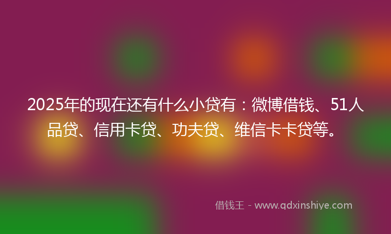 2025年的现在还有什么小贷有：微博借钱、51人品贷、信用卡贷、功夫贷、维信卡卡贷等。