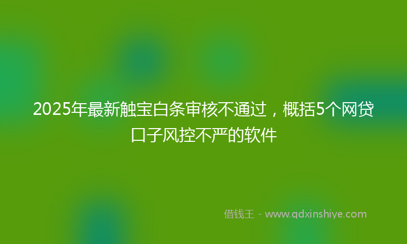 2025年最新触宝白条审核不通过，概括5个网贷口子风控不严的软件