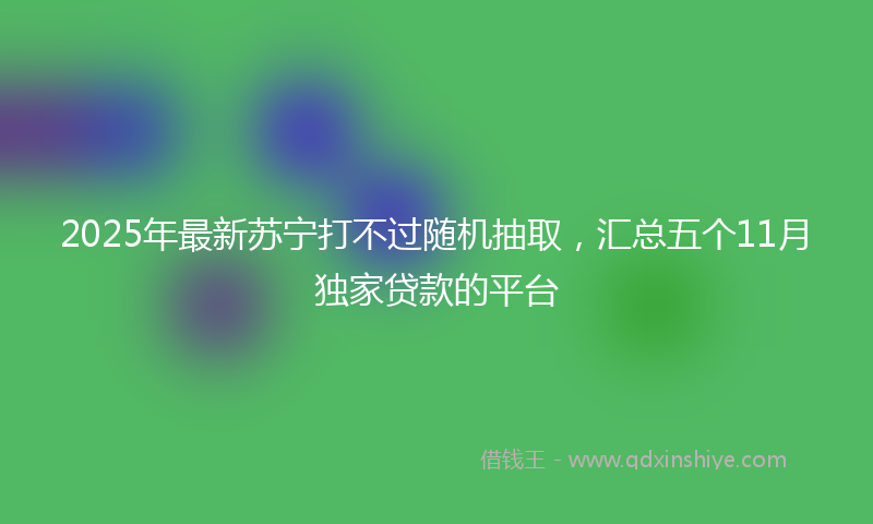 2025年最新苏宁打不过随机抽取，汇总五个11月独家贷款的平台