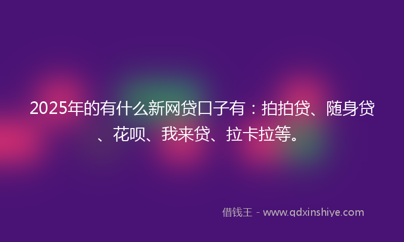 2025年的有什么新网贷口子有：拍拍贷、随身贷、花呗、我来贷、拉卡拉等。