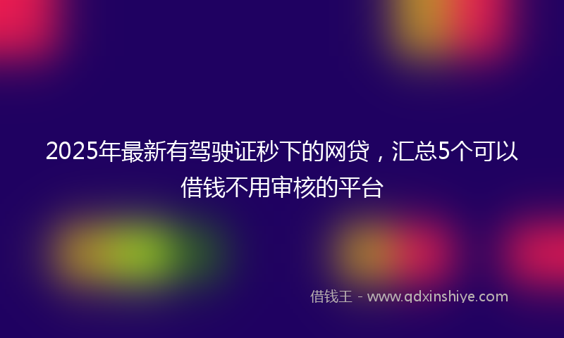 2025年最新有驾驶证秒下的网贷，汇总5个可以借钱不用审核的平台