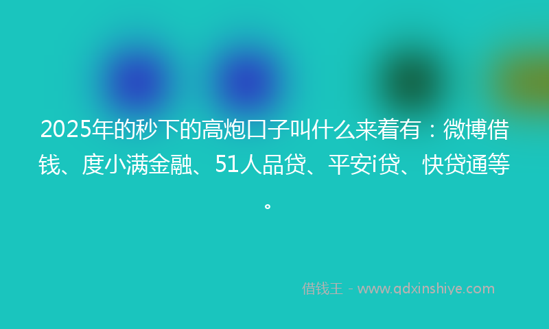 2025年的秒下的高炮口子叫什么来着有：微博借钱、度小满金融、51人品贷、平安i贷、快贷通等。