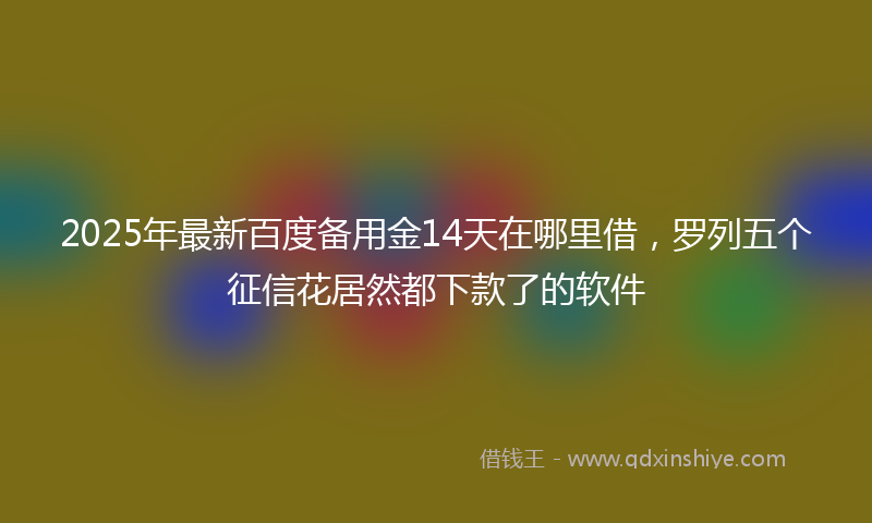 2025年最新百度备用金14天在哪里借，罗列五个征信花居然都下款了的软件