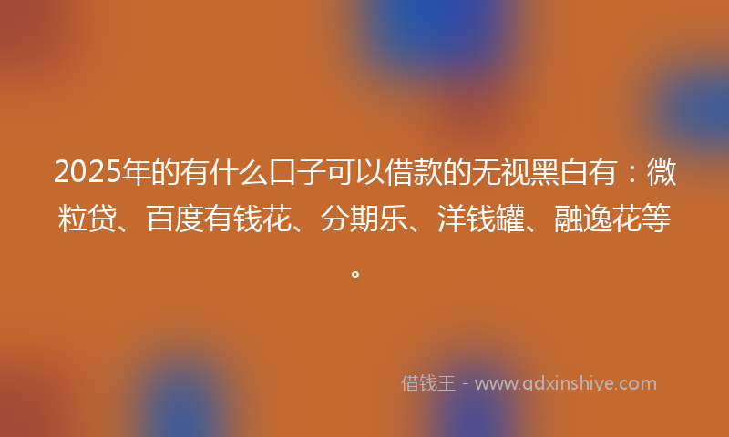 2025年的有什么口子可以借款的无视黑白有：微粒贷、百度有钱花、分期乐、洋钱罐、融逸花等。