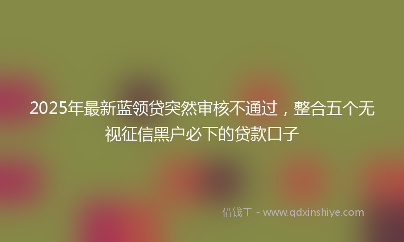 2025年最新蓝领贷突然审核不通过，整合五个无视征信黑户必下的贷款口子
