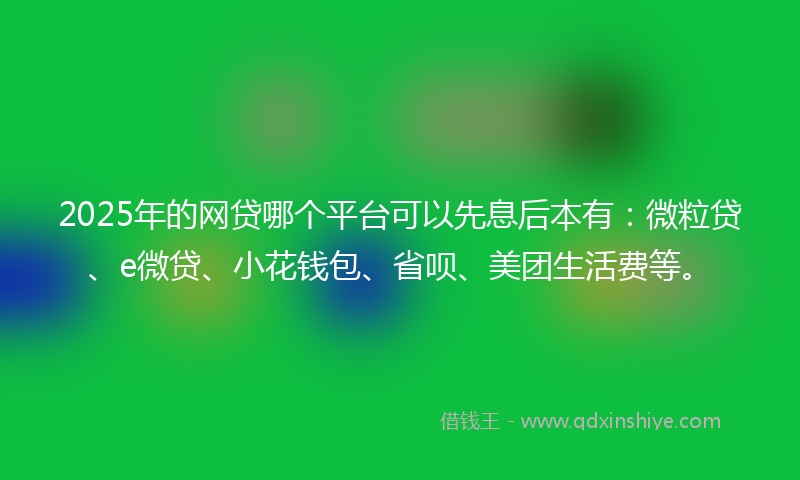 2025年的网贷哪个平台可以先息后本有：微粒贷、e微贷、小花钱包、省呗、美团生活费等。