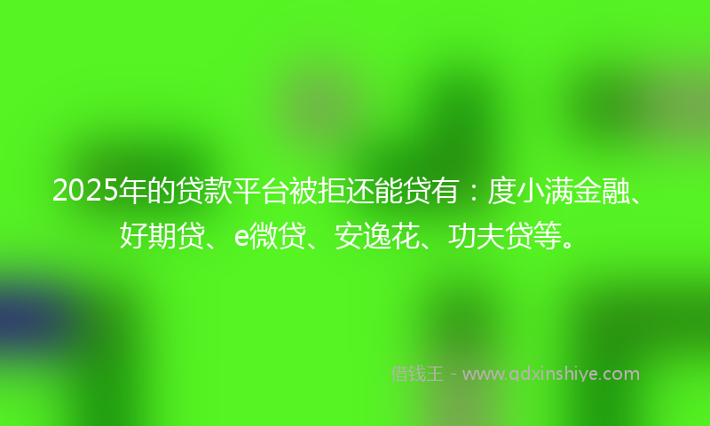 2025年的贷款平台被拒还能贷有：度小满金融、好期贷、e微贷、安逸花、功夫贷等。