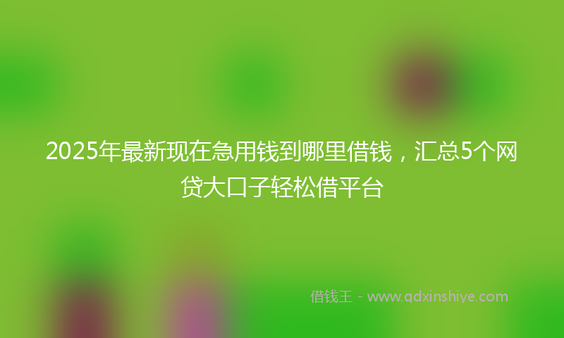 2025年最新现在急用钱到哪里借钱，汇总5个网贷大口子轻松借平台