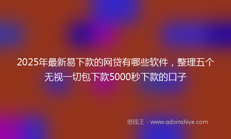 2025年最新易下款的网贷有哪些软件，整理五个无视一切包下款5000秒下款的口子