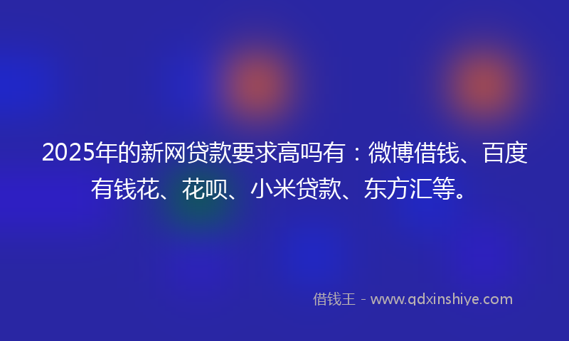 2025年的新网贷款要求高吗有：微博借钱、百度有钱花、花呗、小米贷款、东方汇等。