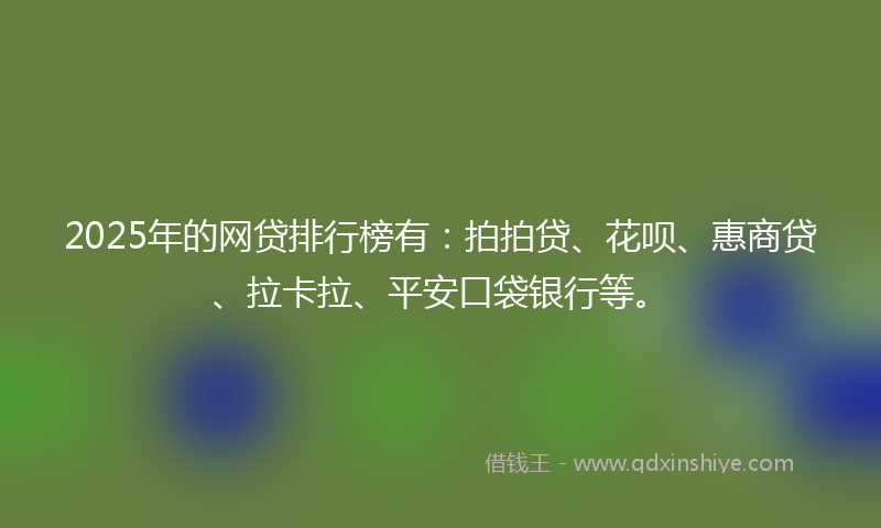 2025年的网贷排行榜有：拍拍贷、花呗、惠商贷、拉卡拉、平安口袋银行等。
