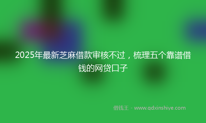 2025年最新芝麻借款审核不过，梳理五个靠谱借钱的网贷口子