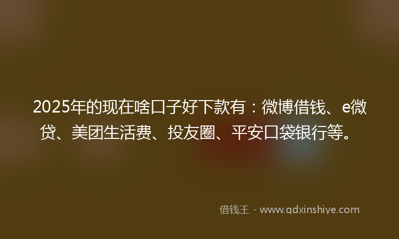 2025年的现在啥口子好下款有：微博借钱、e微贷、美团生活费、投友圈、平安口袋银行等。