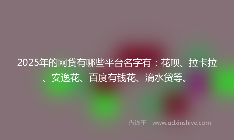 2025年的网贷有哪些平台名字有：花呗、拉卡拉、安逸花、百度有钱花、滴水贷等。