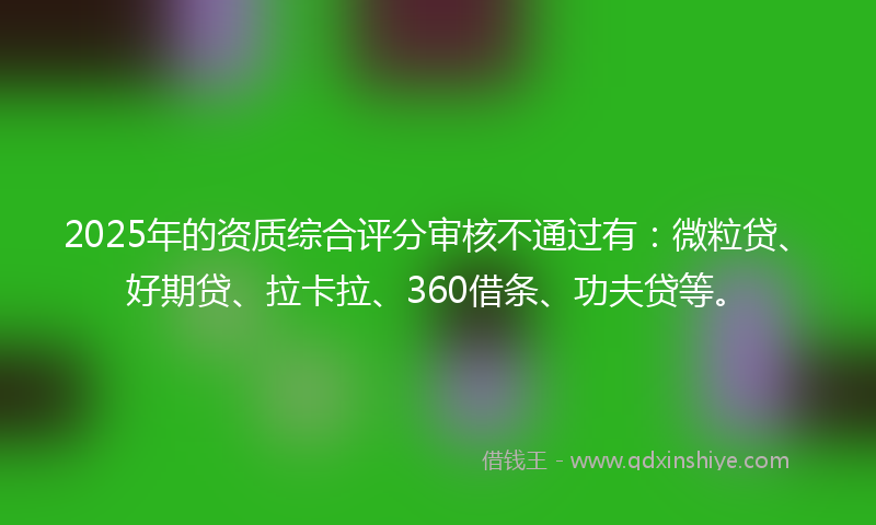 2025年的资质综合评分审核不通过有：微粒贷、好期贷、拉卡拉、360借条、功夫贷等。
