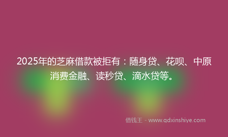 2025年的芝麻借款被拒有：随身贷、花呗、中原消费金融、读秒贷、滴水贷等。