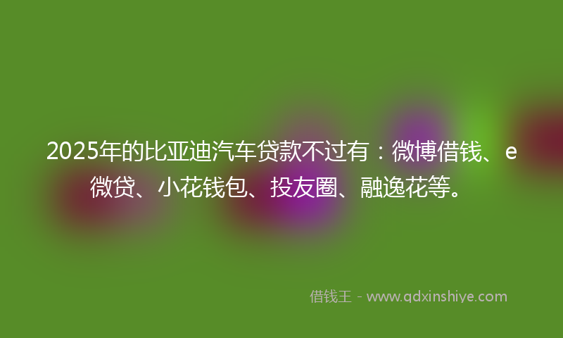 2025年的比亚迪汽车贷款不过有：微博借钱、e微贷、小花钱包、投友圈、融逸花等。
