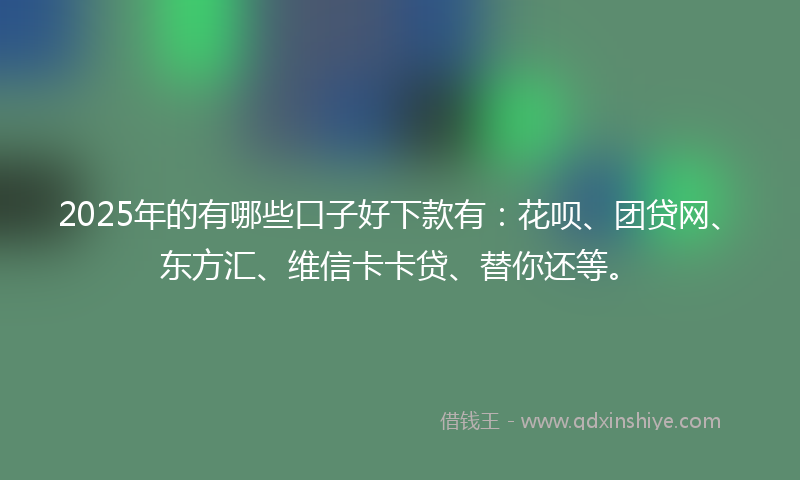 2025年的有哪些口子好下款有：花呗、团贷网、东方汇、维信卡卡贷、替你还等。
