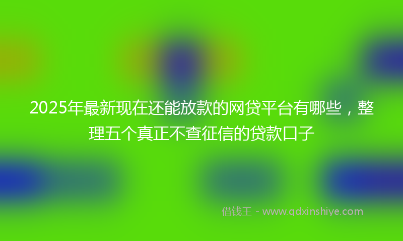 2025年最新现在还能放款的网贷平台有哪些，整理五个真正不查征信的贷款口子