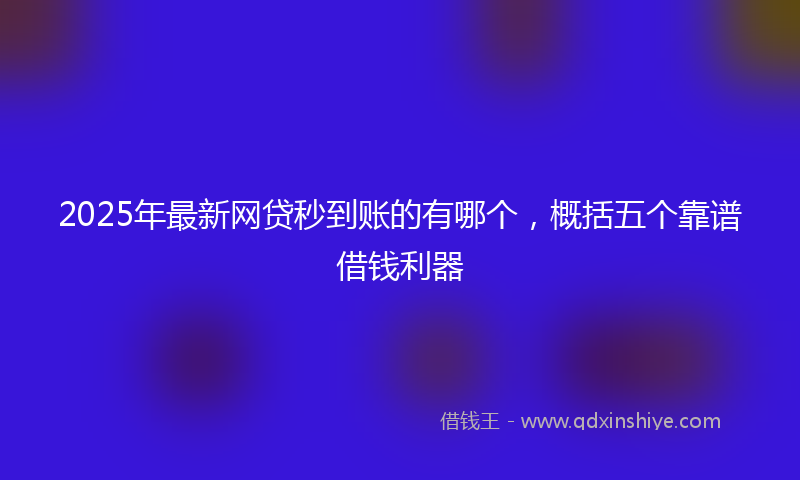 2025年最新网贷秒到账的有哪个，概括五个靠谱借钱利器