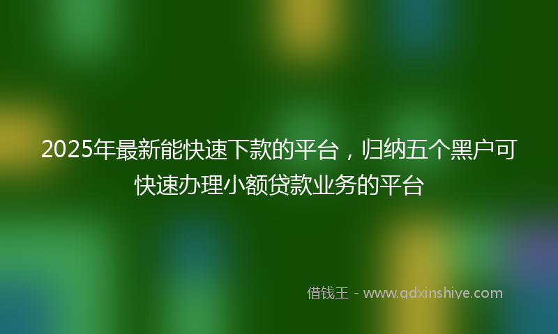 2025年最新能快速下款的平台，归纳五个黑户可快速办理小额贷款业务的平台