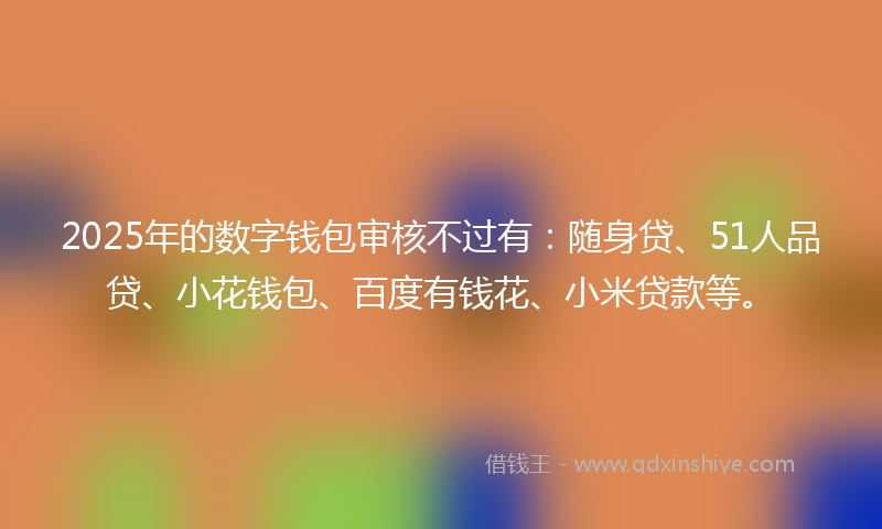 2025年的数字钱包审核不过有：随身贷、51人品贷、小花钱包、百度有钱花、小米贷款等。