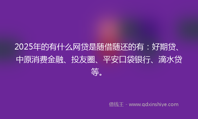 2025年的有什么网贷是随借随还的有：好期贷、中原消费金融、投友圈、平安口袋银行、滴水贷等。