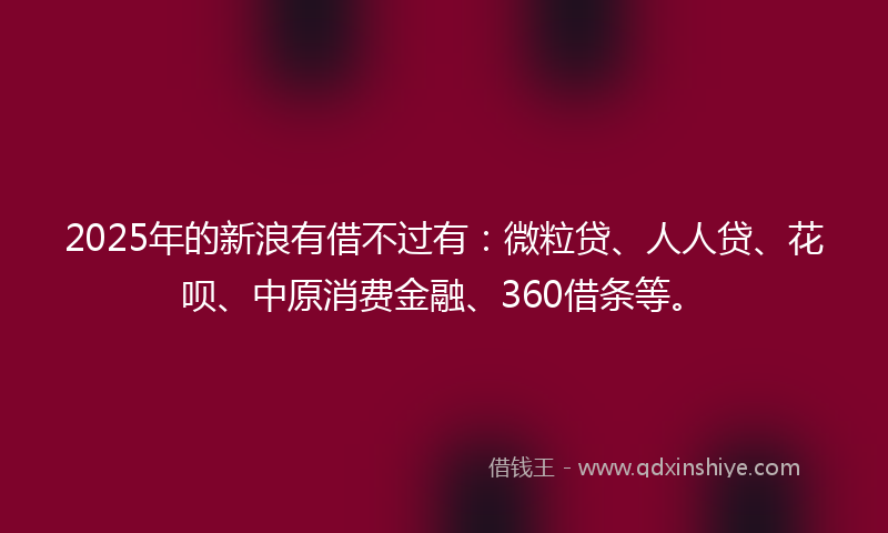 2025年的新浪有借不过有：微粒贷、人人贷、花呗、中原消费金融、360借条等。