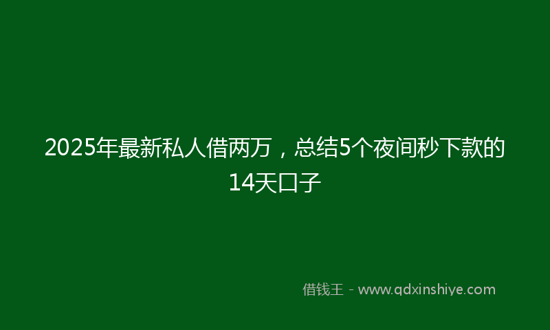 2025年最新私人借两万，总结5个夜间秒下款的14天口子