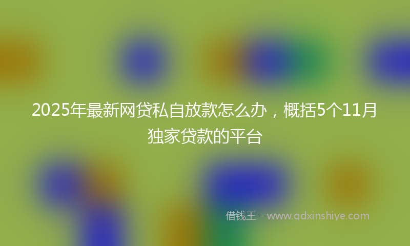 2025年最新网贷私自放款怎么办，概括5个11月独家贷款的平台