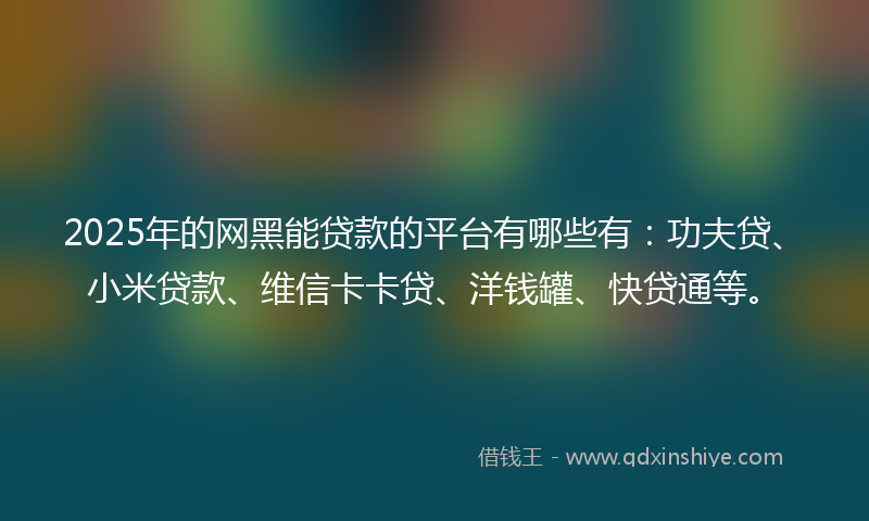 2025年的网黑能贷款的平台有哪些有：功夫贷、小米贷款、维信卡卡贷、洋钱罐、快贷通等。