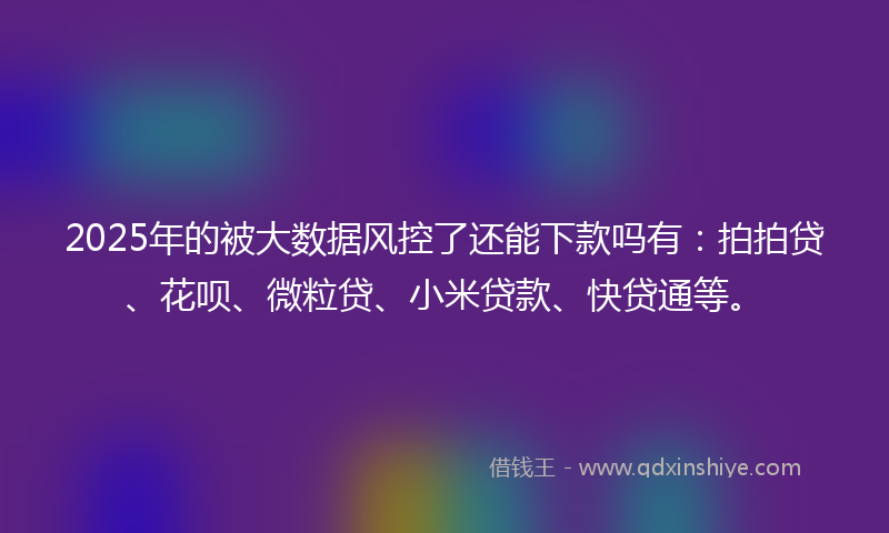 2025年的被大数据风控了还能下款吗有：拍拍贷、花呗、微粒贷、小米贷款、快贷通等。