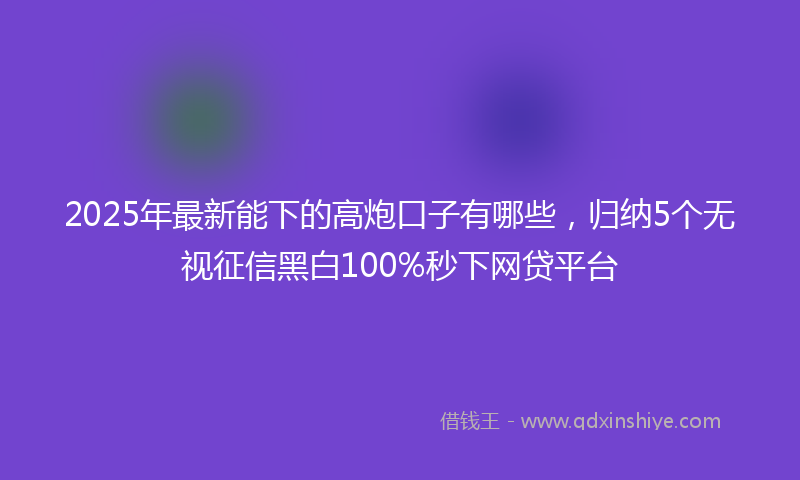 2025年最新能下的高炮口子有哪些，归纳5个无视征信黑白100%秒下网贷平台