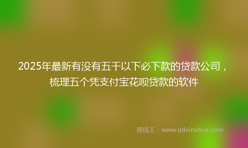2025年最新有没有五千以下必下款的贷款公司，梳理五个凭支付宝花呗贷款的软件